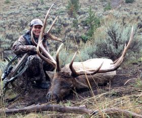 wyoming hunts outfitters big horns