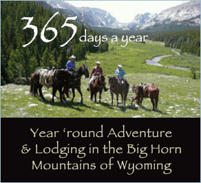 wyoming cabins bighorn mountains national forest buffalo ten sleep wy