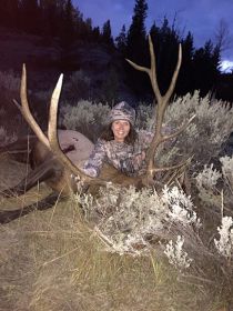 Guided Elk Hunting in Wyoming