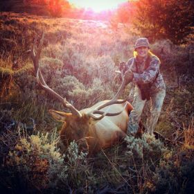 guided elk hunts, guided elk hunting wyoming, guides elk hunts wy